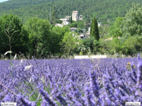 Le Mas Des Restanques au Poët Laval